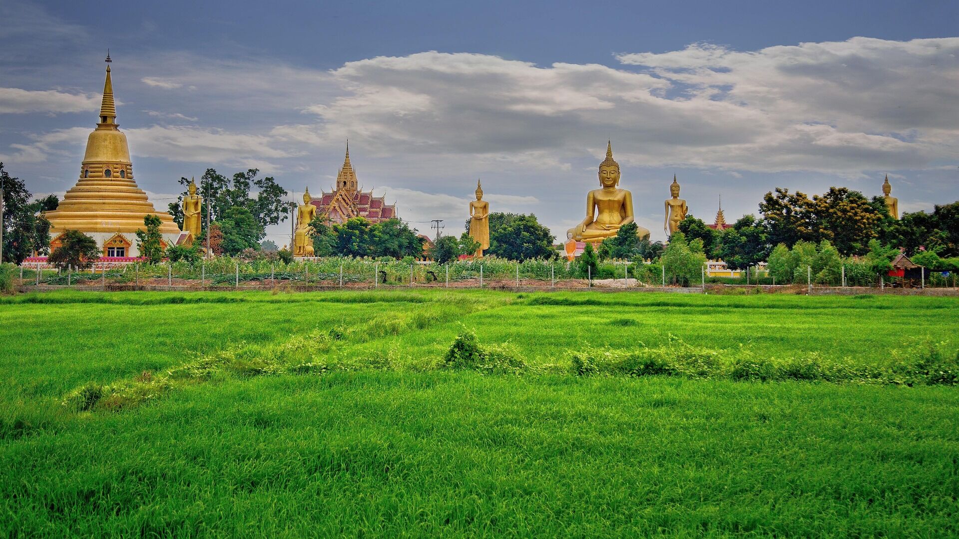 Start your journey with Phitsanulok’s vibrant glow